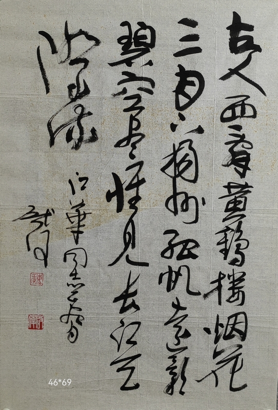 魏启后