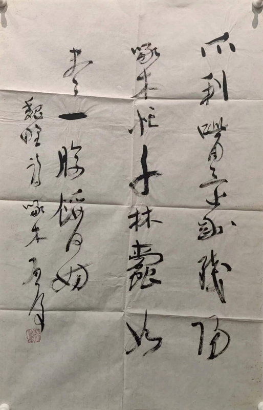 魏启后
