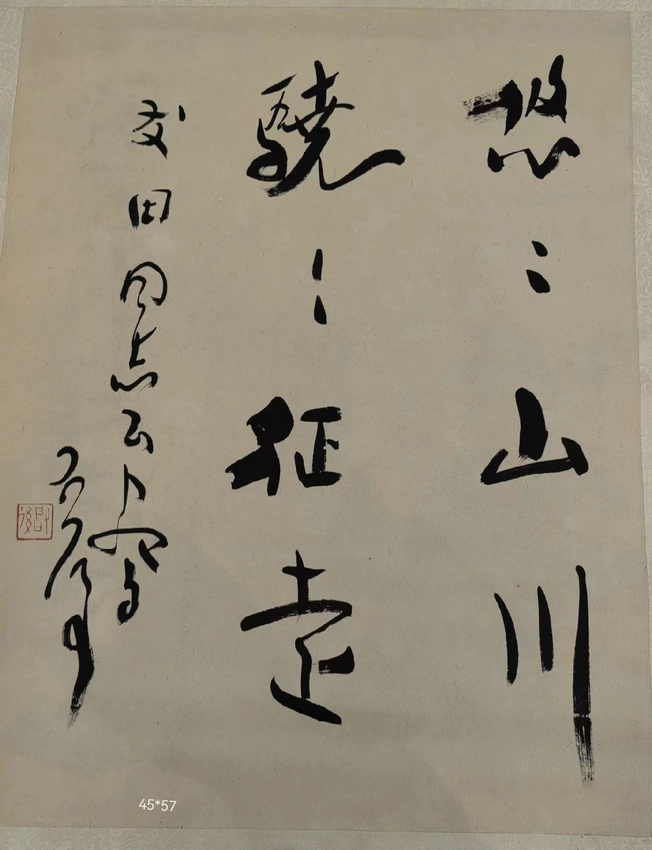 魏启后