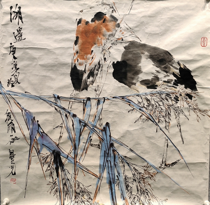 宋丰光