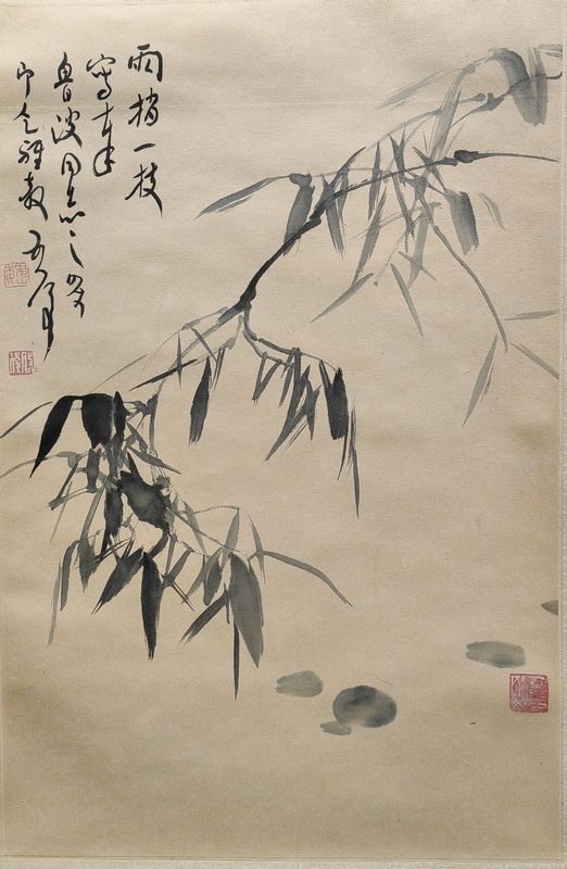魏启后