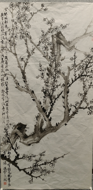 韩斌